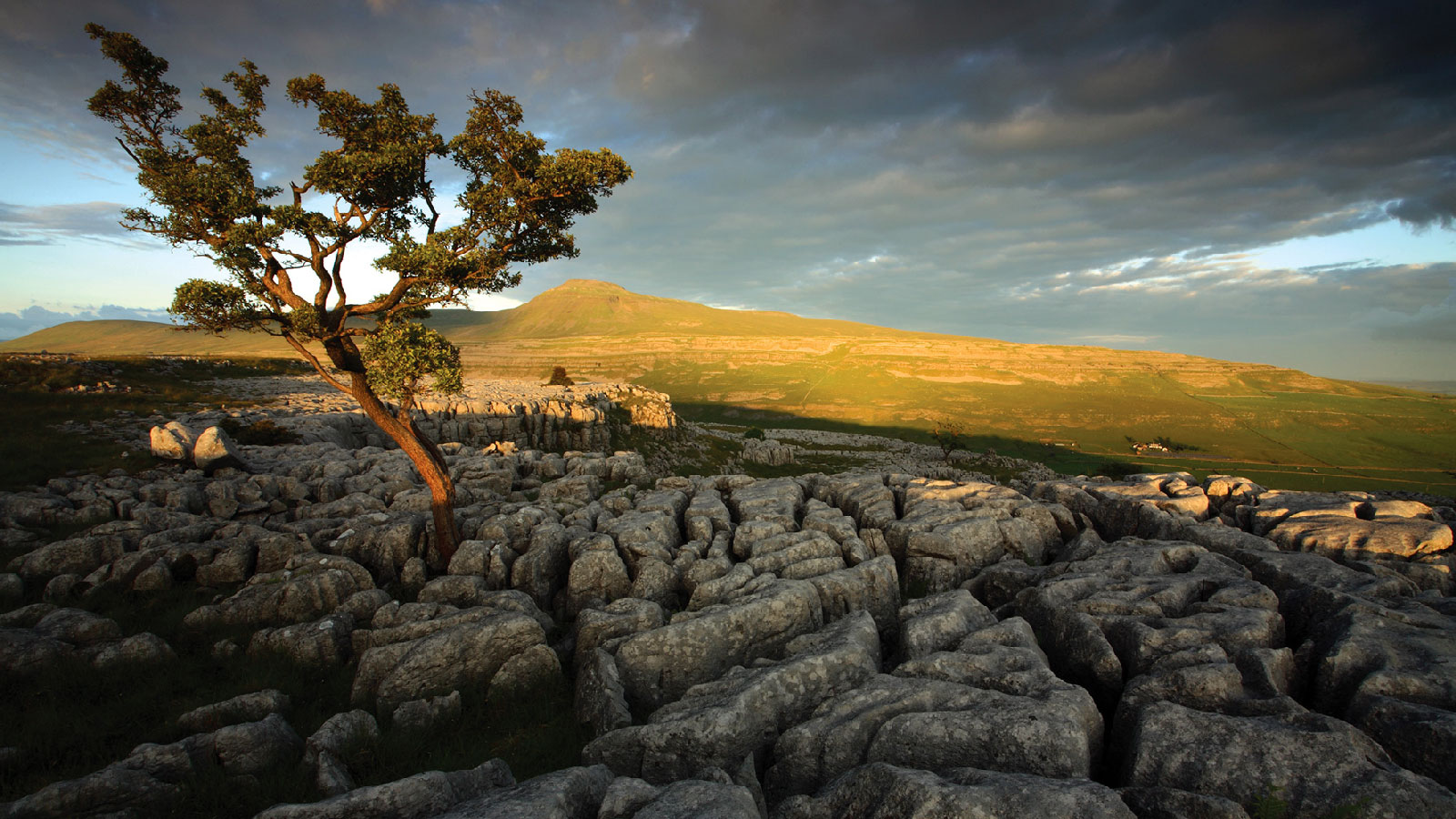 photo of the view across limestone pavement across the dale to white scar caves